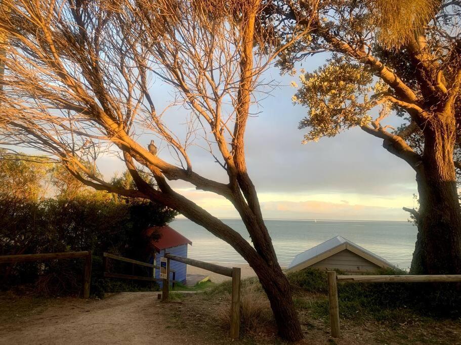Arthurs Seat Cottage - Sulla Collina Esterno foto